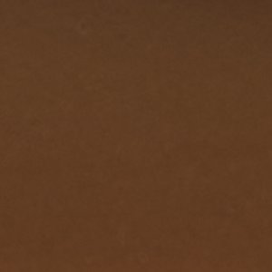Saltwater™ 1 Eye Duck Shoe image 7